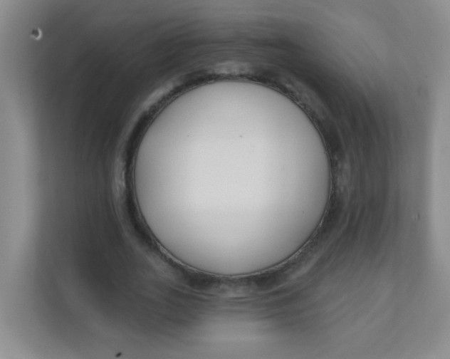 X0000111380727200907311053