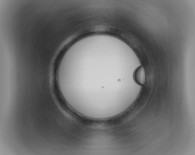 X0000111380728200907311053