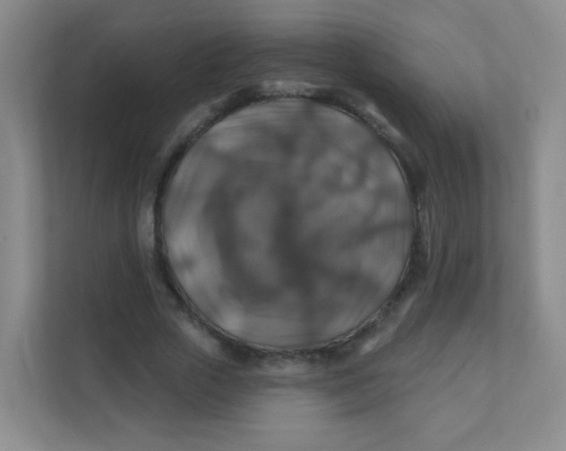 X0000111380729200907311053