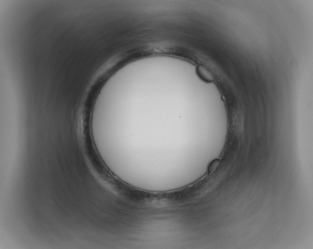 X0000111380730200907311053