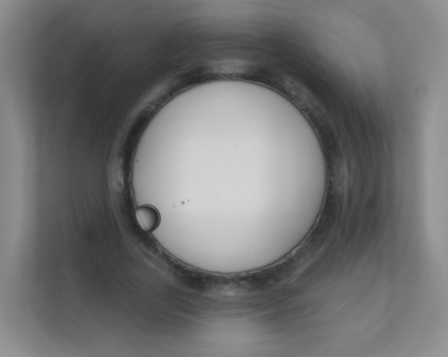 X0000111380731200907311053