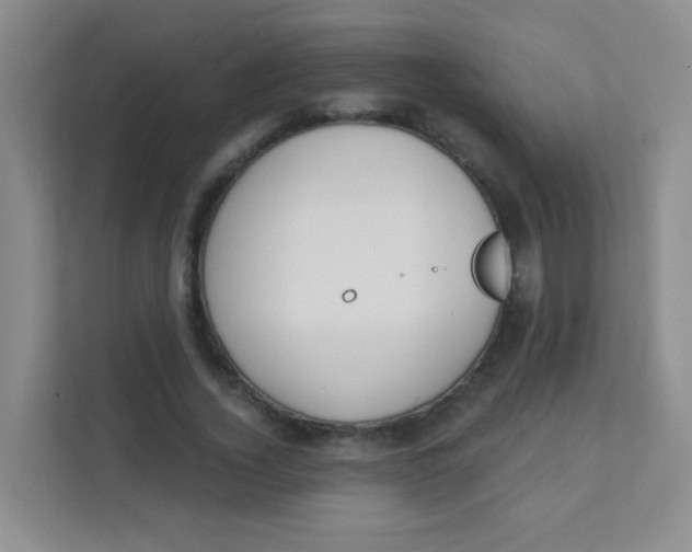 X0000111380732200907311053