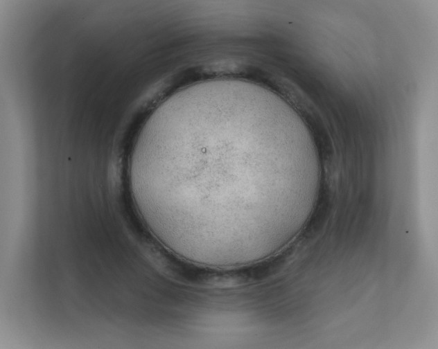 X0000111380735200907311053