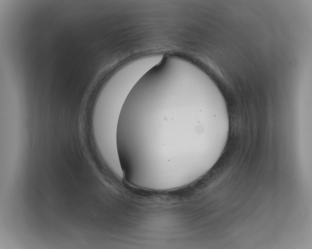 X0000111380736200907311053