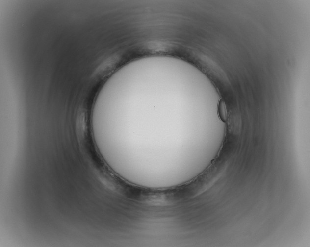 X0000111380740200907311053