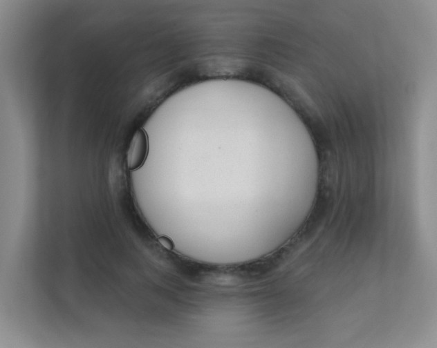 X0000111380743200907311053