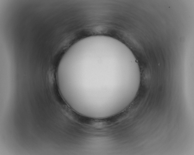 X0000111380746200907311053