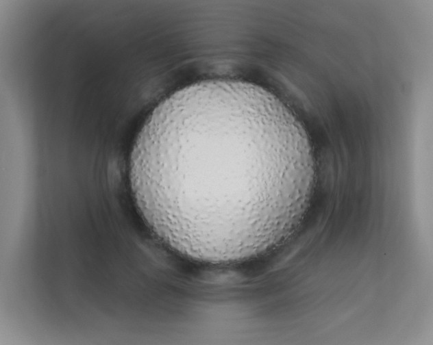 X0000111380747200907311053