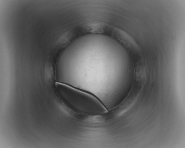 X0000111380748200907311053