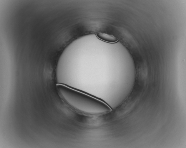 X0000111380750200907311053