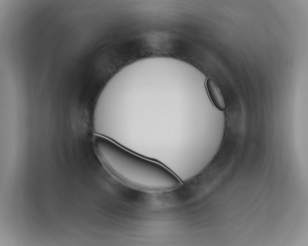 X0000111380752200907311053