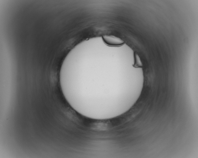 X0000111380756200907311053