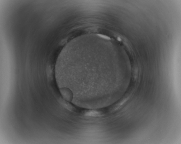 X0000111380759200907311053