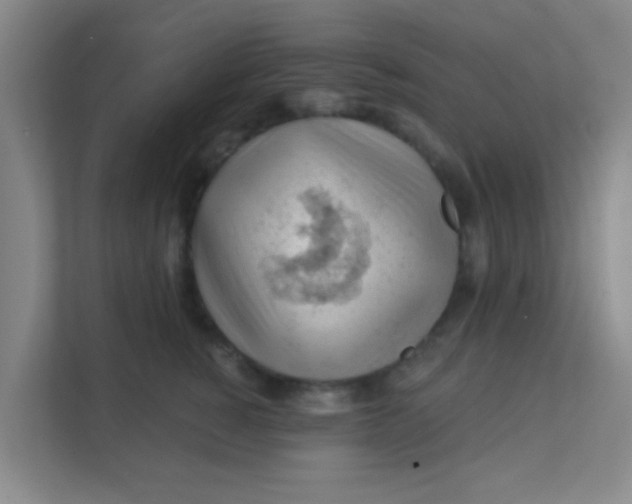 X0000111380760200907311053