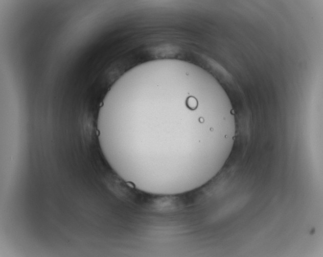 X0000111380761200907311053