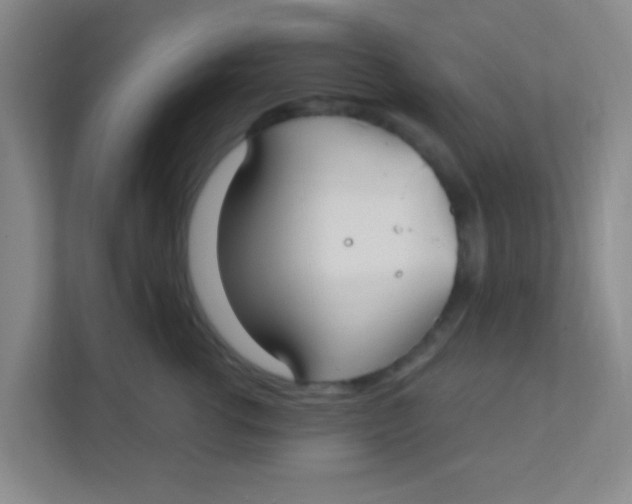 X0000111380762200907311053