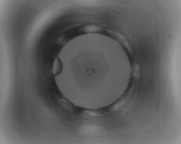 X0000111380763200907311053