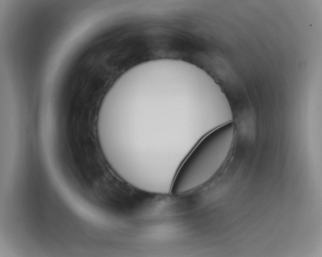 X0000111380764200907311053