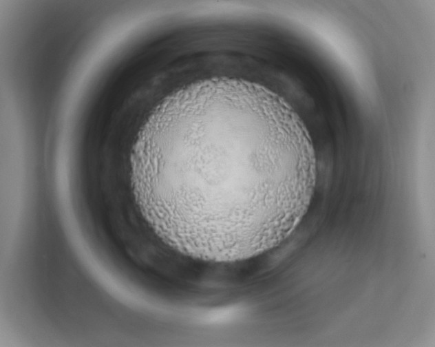 X0000111380765200907311053