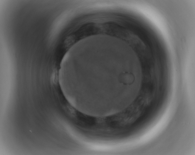 X0000111380766200907311053