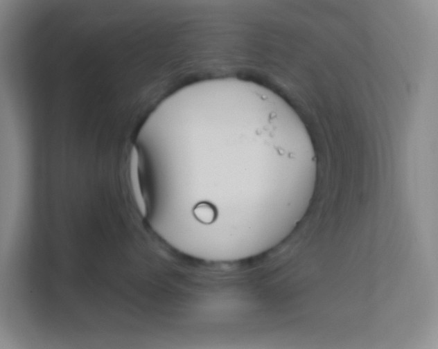 X0000111380768200907311053