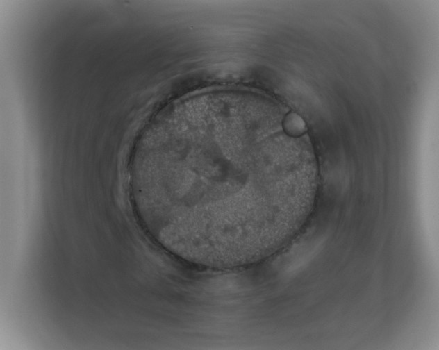 X0000111380769200907311053