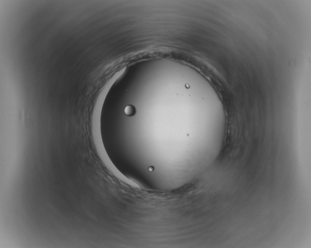 X0000111380773200907311053