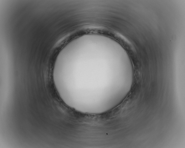 X0000111380775200907311053