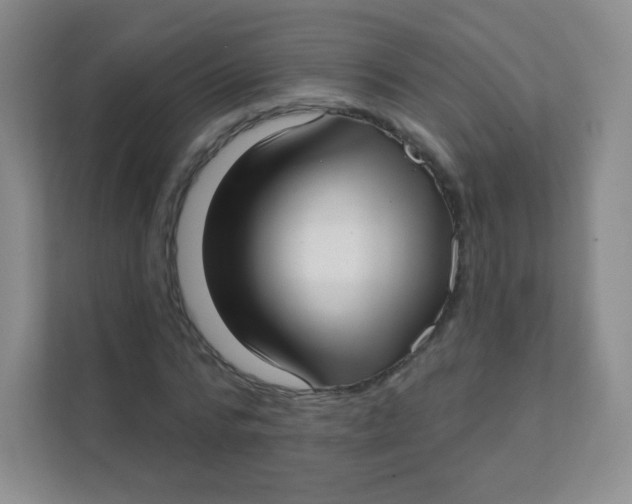 X0000111380776200907311053