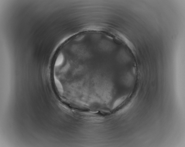 X0000111380779200907311052