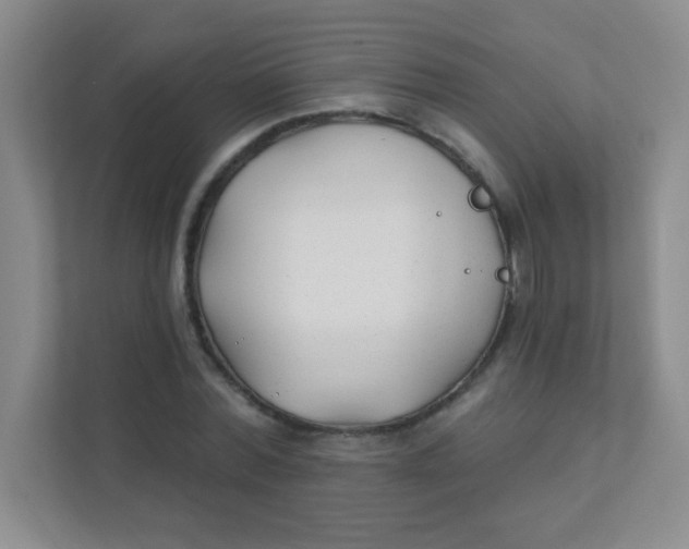 X0000111380780200907311052