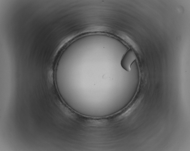 X0000111380781200907311052