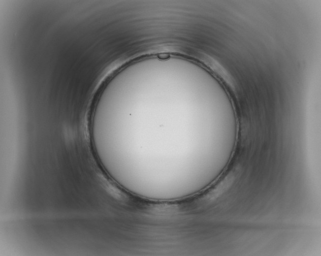 X0000111380789200907311052