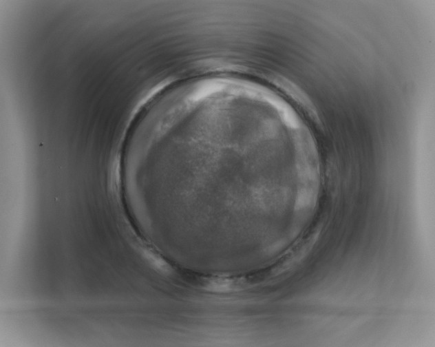 X0000111380790200907311052