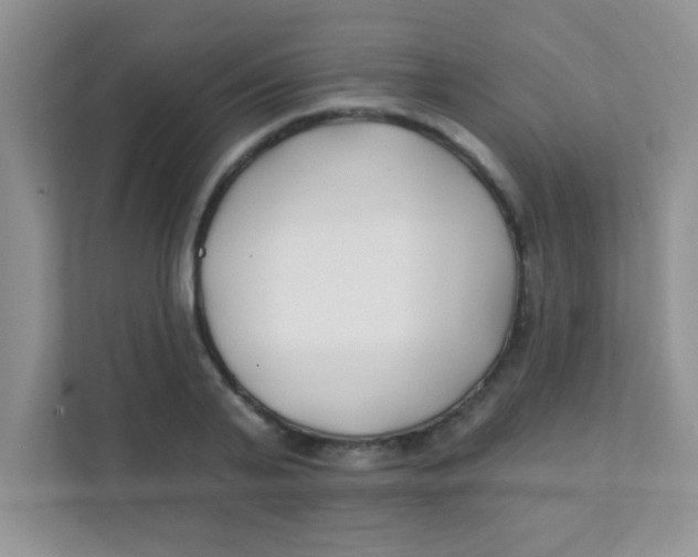 X0000111380791200907311052