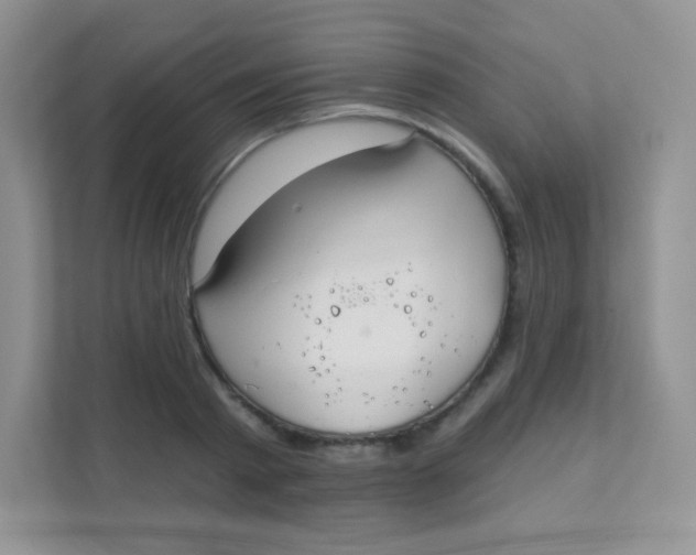 X0000111380793200907311052