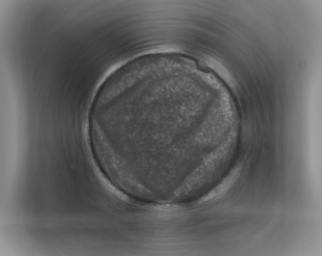 X0000111380797200907311052