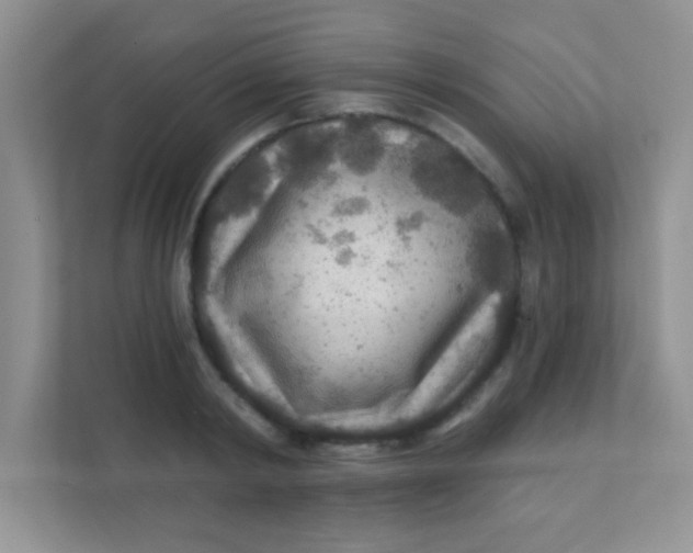 X0000111380798200907311052