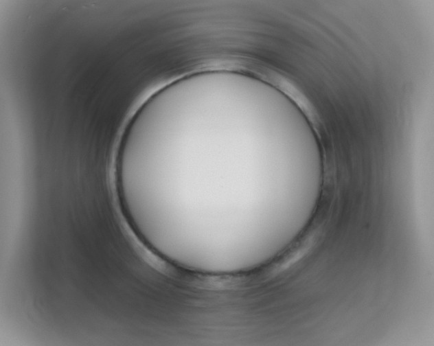 X0000111380803200907311052