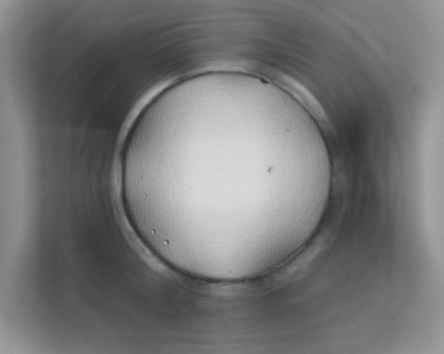 X0000111380804200907311052