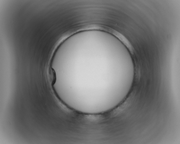 X0000111380805200907311052