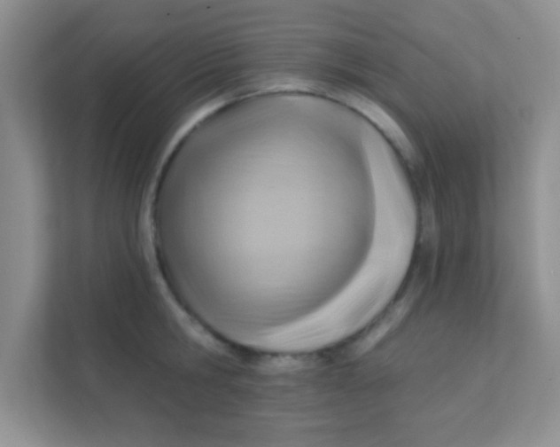 X0000111380806200907311052