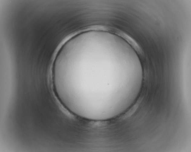 X0000111380808200907311052