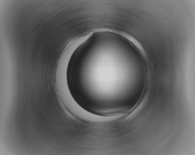 X0000111380809200907311052