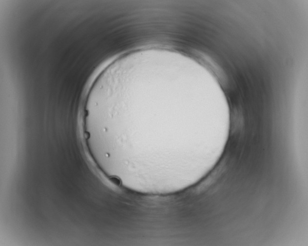 X0000111380812200907311052