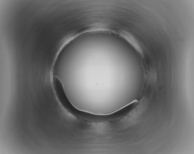 X0000111380813200907311052