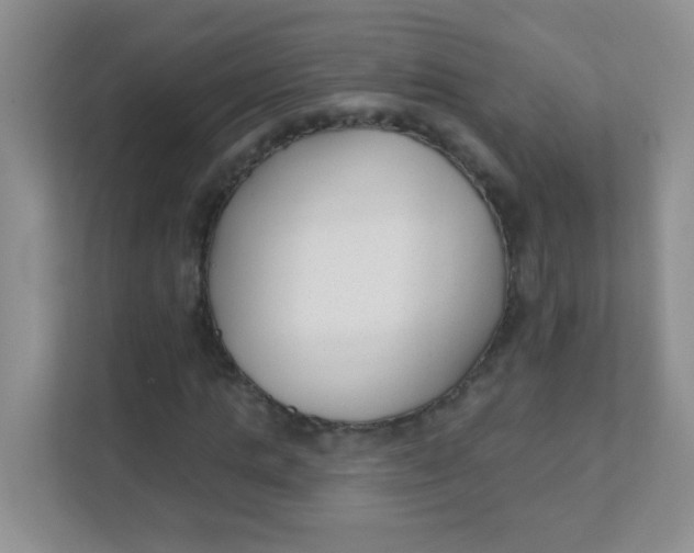 X0000111380821200907311051