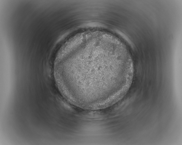 X0000111380823200907311051