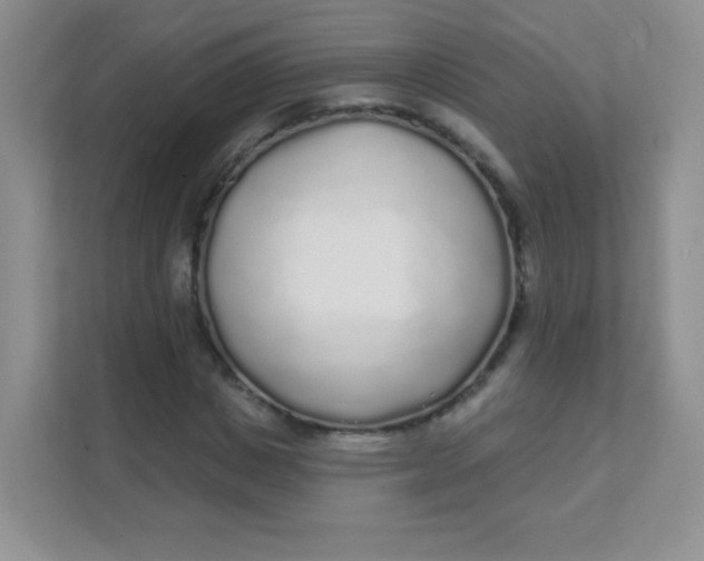 X0000111380825200907311051