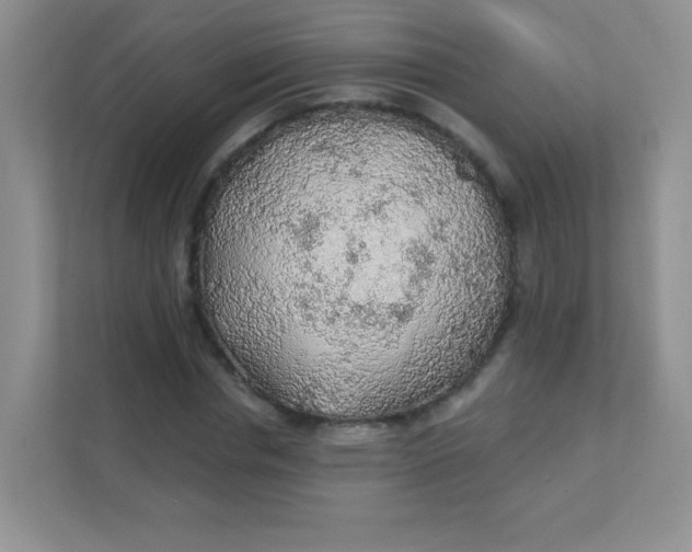 X0000111380826200907311051